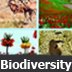 biodiversity